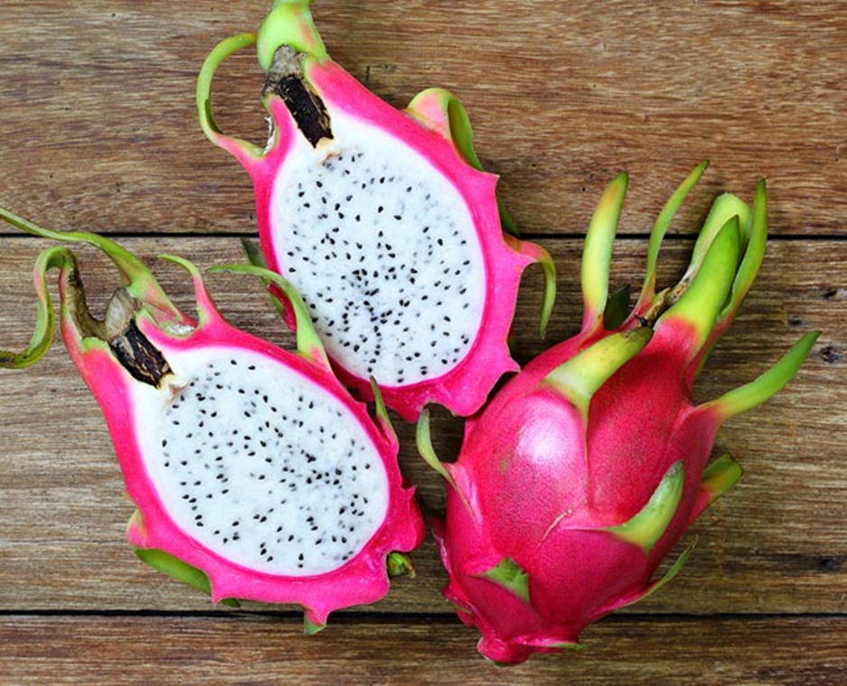 dragon fruit